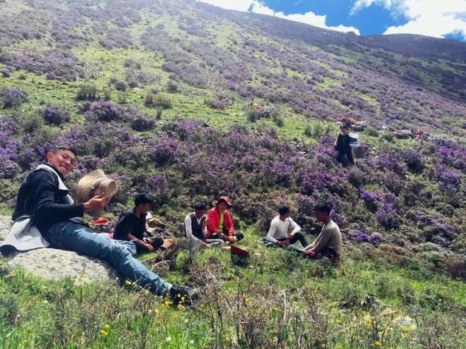 包含漓江暴熊队对阵云贵雪豹队，摔跤附加赛击败，细节决定成败——逆风翻盘的范本的词条